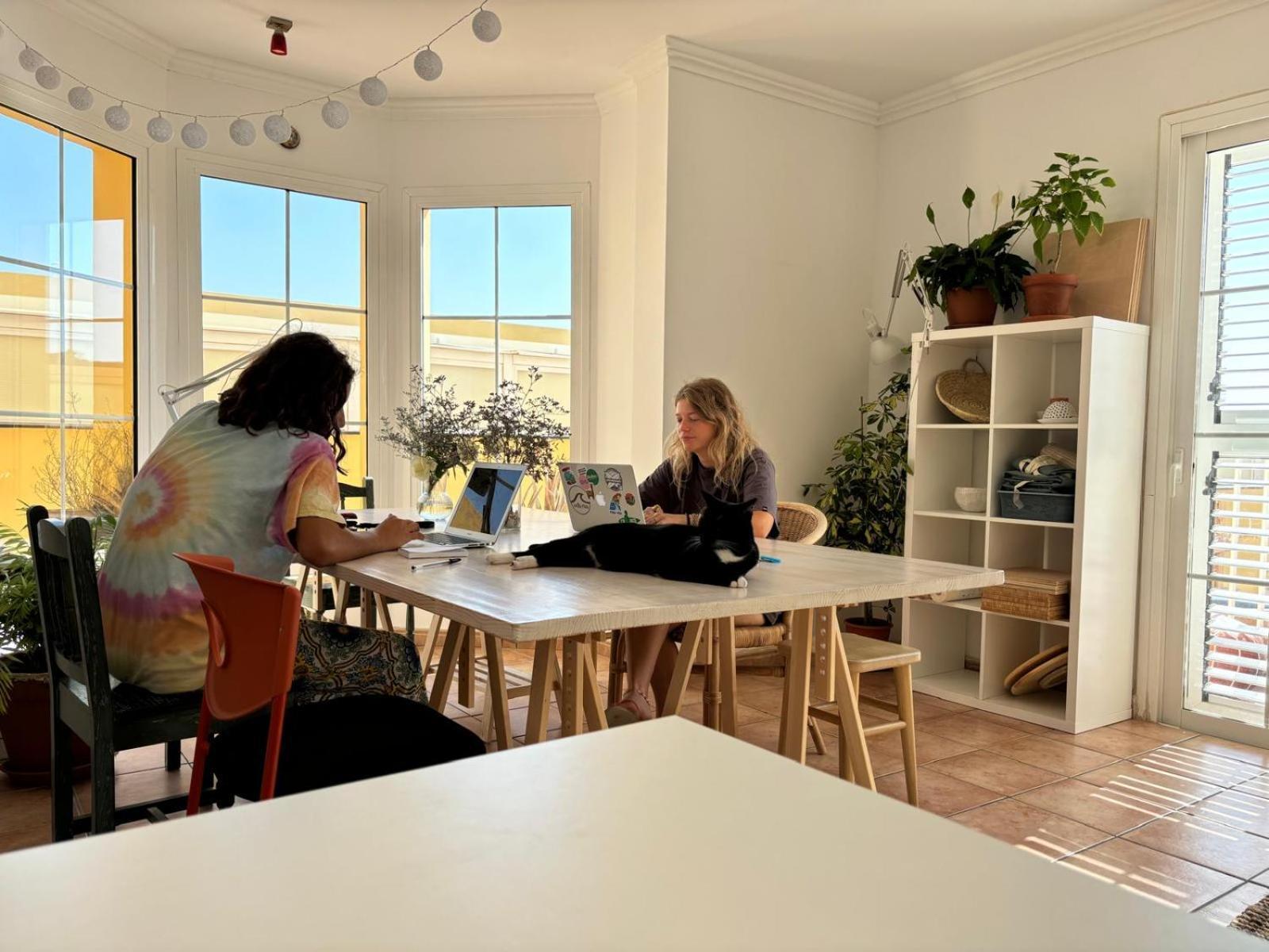 Medano Beach Coliving El Médano Екстериор снимка